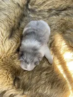 processed/14cc0268-f047-4676-9981-6d88ef7bf9f1/listing/408d7c68-b6e3-4128-88ee-8bce09b02daf/90bfb223-a9b1-48c6-8bf6-c569231ba873