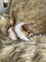 processed/14cc0268-f047-4676-9981-6d88ef7bf9f1/listing/43dbabee-9b71-4551-813f-9ec87bbdabfe/5df451fd-9250-493a-a65f-bbff49d9f6d3