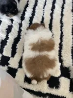 processed/14cc0268-f047-4676-9981-6d88ef7bf9f1/listing/43dbabee-9b71-4551-813f-9ec87bbdabfe/c245291b-481d-4bf5-a612-517174e68229