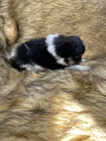 processed/14cc0268-f047-4676-9981-6d88ef7bf9f1/listing/914eb206-0847-4f8b-b45a-80418c55b292/2f652ca1-a098-4035-94a0-05f0f9f26820