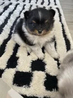 processed/14cc0268-f047-4676-9981-6d88ef7bf9f1/listing/914eb206-0847-4f8b-b45a-80418c55b292/4ea3c918-c899-407c-93db-34409d5674f2