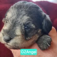 processed/14ccf106-3dae-486f-b66c-cb7b361ebd79/facility/1354a9cf-1100-4a3d-983f-282f1e853c03