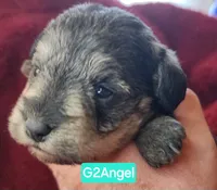 processed/14ccf106-3dae-486f-b66c-cb7b361ebd79/facility/1354a9cf-1100-4a3d-983f-282f1e853c03