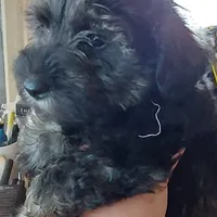 processed/14ccf106-3dae-486f-b66c-cb7b361ebd79/facility/8b401e60-565f-432b-9f90-96dcd93b87bc