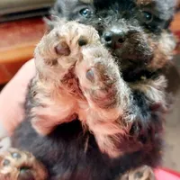 processed/14ccf106-3dae-486f-b66c-cb7b361ebd79/facility/a0fb4938-1ef4-4cd4-a38e-1b6701d12625