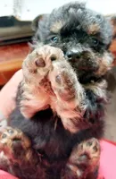 processed/14ccf106-3dae-486f-b66c-cb7b361ebd79/facility/a0fb4938-1ef4-4cd4-a38e-1b6701d12625