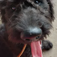 processed/14ccf106-3dae-486f-b66c-cb7b361ebd79/facility/abe4348a-63a9-4222-861c-7dfa1ca3aad5