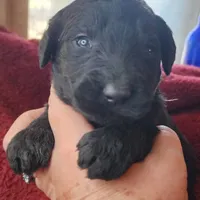 processed/14ccf106-3dae-486f-b66c-cb7b361ebd79/facility/deb0db91-a93e-4fc1-8f46-4556deef656c