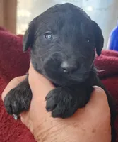 processed/14ccf106-3dae-486f-b66c-cb7b361ebd79/facility/deb0db91-a93e-4fc1-8f46-4556deef656c