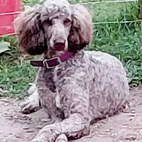 processed/14ccf106-3dae-486f-b66c-cb7b361ebd79/facility/f31b4b5b-43f8-4045-817b-499cd743056b