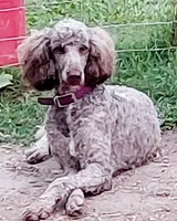 processed/14ccf106-3dae-486f-b66c-cb7b361ebd79/facility/f31b4b5b-43f8-4045-817b-499cd743056b