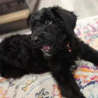 processed/14ccf106-3dae-486f-b66c-cb7b361ebd79/facility/f43bf017-2064-40e6-8c5b-657642ac1344