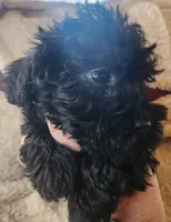 processed/14ccf106-3dae-486f-b66c-cb7b361ebd79/listing/afa01b2d-0d68-4ff3-b9bb-6ba00ab85408/0c5ac8f4-eaf9-4c02-9f88-4b6224a5d374