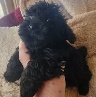 processed/14ccf106-3dae-486f-b66c-cb7b361ebd79/listing/afa01b2d-0d68-4ff3-b9bb-6ba00ab85408/2cb86bdc-eb8a-4141-8974-0b40ee6c6abd