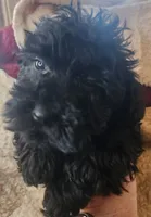 processed/14ccf106-3dae-486f-b66c-cb7b361ebd79/listing/afa01b2d-0d68-4ff3-b9bb-6ba00ab85408/72d7aefb-b299-4738-92be-2e916fb5b976