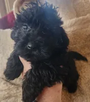 processed/14ccf106-3dae-486f-b66c-cb7b361ebd79/listing/afa01b2d-0d68-4ff3-b9bb-6ba00ab85408/f9b09a09-78b1-4166-9756-c1b2a722f530