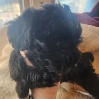 processed/14ccf106-3dae-486f-b66c-cb7b361ebd79/listing/eff66498-c8bb-4f1a-a1ec-88c63f0f2db2/2d77baf0-55c5-4706-b095-b70badd0fa3f