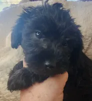 processed/14ccf106-3dae-486f-b66c-cb7b361ebd79/listing/eff66498-c8bb-4f1a-a1ec-88c63f0f2db2/b40cf8cb-80e6-47fc-bdc1-68ce5f8557d1