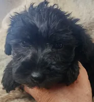 processed/14ccf106-3dae-486f-b66c-cb7b361ebd79/listing/eff66498-c8bb-4f1a-a1ec-88c63f0f2db2/ebd81d5c-832b-4fba-ae90-d503d6391632