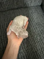 Lovely, a female Poodle - Toy  for sale in Jeffersonville, IN – 2 of 2