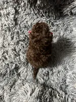 processed/14d62f0c-d3be-41fd-80d4-1b879ff0e667/listing/5bbc8196-1f06-4f5b-af88-7c8ed5291909/76d893fc-0799-45ce-a1cc-65ec2c0f1826