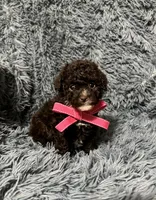 processed/14d62f0c-d3be-41fd-80d4-1b879ff0e667/listing/5bbc8196-1f06-4f5b-af88-7c8ed5291909/790f6f37-9a4e-4bc3-abf2-f6ad9ce18de1