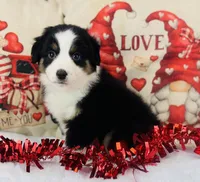 processed/14effbd7-b919-4938-a686-374a1229ce8e/listing/0905722e-9d62-4afa-925b-99a60f26d7dc/08975e45-4dd3-40f9-a83d-6bb75ea20bd1