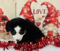 processed/14effbd7-b919-4938-a686-374a1229ce8e/listing/0905722e-9d62-4afa-925b-99a60f26d7dc/394c5749-18ac-4fcf-a604-220f246a34e5