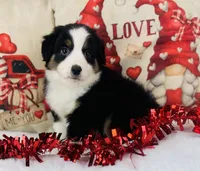 processed/14effbd7-b919-4938-a686-374a1229ce8e/listing/0905722e-9d62-4afa-925b-99a60f26d7dc/635eeadb-d5b4-4110-bc94-6e16defc1fdb