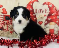 processed/14effbd7-b919-4938-a686-374a1229ce8e/listing/0905722e-9d62-4afa-925b-99a60f26d7dc/bdab64e7-386c-497a-880d-fae7c4b8ed32