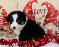 processed/14effbd7-b919-4938-a686-374a1229ce8e/listing/0905722e-9d62-4afa-925b-99a60f26d7dc/c931fef0-a1d7-4032-8927-2f2b71161fab