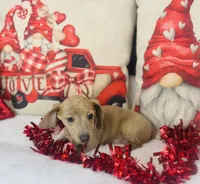 processed/14effbd7-b919-4938-a686-374a1229ce8e/listing/9bf807a9-be61-4d8d-8adf-30082f060082/b5087854-7d02-4c40-a2e1-95c5edb757a2