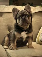 processed/150526a6-6cc4-4c76-a4cf-6c6da7de1740/listing/df9edeb6-ba6e-427a-8daa-80dc833fd411/ee37970c-c435-4171-84ef-6a444dab48e3