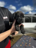 processed/150abef6-532e-40ae-8347-5e513d5f05ac/listing/207a76d5-275c-4e7a-8be3-65abfd688264/11fb7377-bb9c-4268-83ba-2e67fb398d91