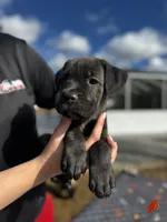 processed/150abef6-532e-40ae-8347-5e513d5f05ac/listing/207a76d5-275c-4e7a-8be3-65abfd688264/276d694f-86d8-43d1-93a6-747c12910f9f