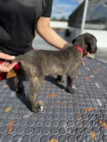 processed/150abef6-532e-40ae-8347-5e513d5f05ac/listing/207a76d5-275c-4e7a-8be3-65abfd688264/5220f943-07ac-4a27-a728-ee3d45d4c956