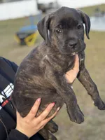 processed/150abef6-532e-40ae-8347-5e513d5f05ac/listing/207a76d5-275c-4e7a-8be3-65abfd688264/d0edbc1d-2c76-4c48-a046-4c1465c0be00