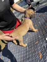 processed/150abef6-532e-40ae-8347-5e513d5f05ac/listing/31106ef5-b4a8-452c-9667-1b244333d77c/5f44a541-5ab9-4560-b1d2-9f2b79ac9593