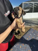 processed/150abef6-532e-40ae-8347-5e513d5f05ac/listing/31106ef5-b4a8-452c-9667-1b244333d77c/6eab8103-c570-4a28-85fd-4178c552390e