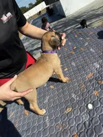 processed/150abef6-532e-40ae-8347-5e513d5f05ac/listing/31106ef5-b4a8-452c-9667-1b244333d77c/a9262ec2-46e1-45c8-b79f-bf8dd7827315