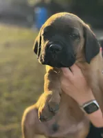 processed/150abef6-532e-40ae-8347-5e513d5f05ac/listing/37afcd6d-beb5-41ed-9772-1f883dce3da3/2659a0a6-9fea-4887-b342-b175c8cde2a5