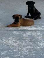 processed/150abef6-532e-40ae-8347-5e513d5f05ac/listing/37afcd6d-beb5-41ed-9772-1f883dce3da3/5d776b63-fecf-4076-a0c1-3426d641b916