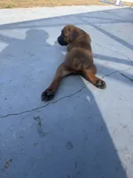 processed/150abef6-532e-40ae-8347-5e513d5f05ac/listing/37afcd6d-beb5-41ed-9772-1f883dce3da3/758c2fff-033f-4fa4-be98-6c6fcd771a34