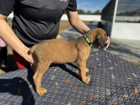 processed/150abef6-532e-40ae-8347-5e513d5f05ac/listing/37afcd6d-beb5-41ed-9772-1f883dce3da3/b0887f92-4f72-47e7-b23d-4a0151002cf9