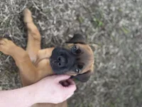 processed/150abef6-532e-40ae-8347-5e513d5f05ac/listing/37afcd6d-beb5-41ed-9772-1f883dce3da3/cf6c7f3d-bb9a-427f-9bc7-4eab1724b2e4