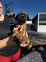 processed/150abef6-532e-40ae-8347-5e513d5f05ac/listing/37afcd6d-beb5-41ed-9772-1f883dce3da3/d322fd0b-daf6-419a-b320-2206c48f835e