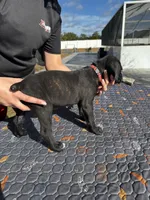 processed/150abef6-532e-40ae-8347-5e513d5f05ac/listing/a87de973-4593-43a2-a02a-2b3deaec5ca8/4cfa725e-3c5c-48be-9914-5461f9e9d092