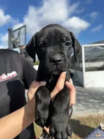 processed/150abef6-532e-40ae-8347-5e513d5f05ac/listing/a87de973-4593-43a2-a02a-2b3deaec5ca8/b0d8eb76-49f7-44f8-adcc-8954b02f9403