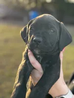 processed/150abef6-532e-40ae-8347-5e513d5f05ac/listing/a87de973-4593-43a2-a02a-2b3deaec5ca8/bead0259-adf8-4bc0-a491-31e643ce1cc6