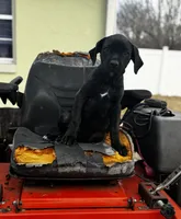 processed/150abef6-532e-40ae-8347-5e513d5f05ac/listing/a87de973-4593-43a2-a02a-2b3deaec5ca8/c0cb6ad9-b374-406e-af87-65669e8b4cd8